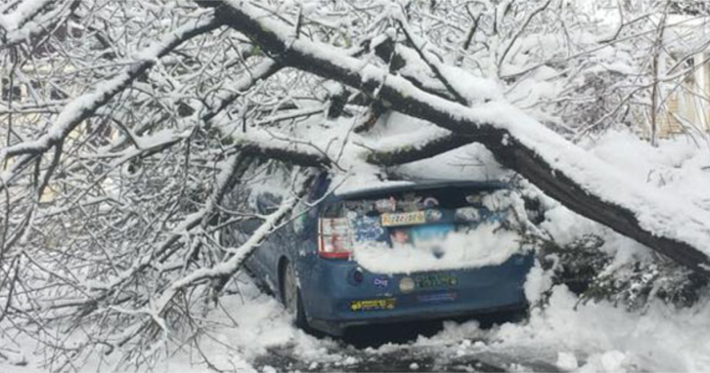 Winter Storm Damage