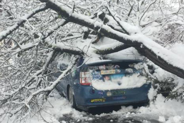Winter Storm Damage